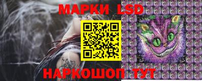 дживик Гай