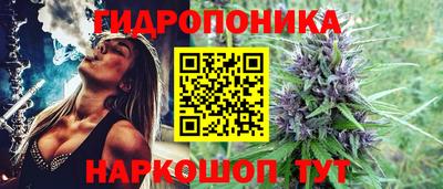 соль ск Гагарин