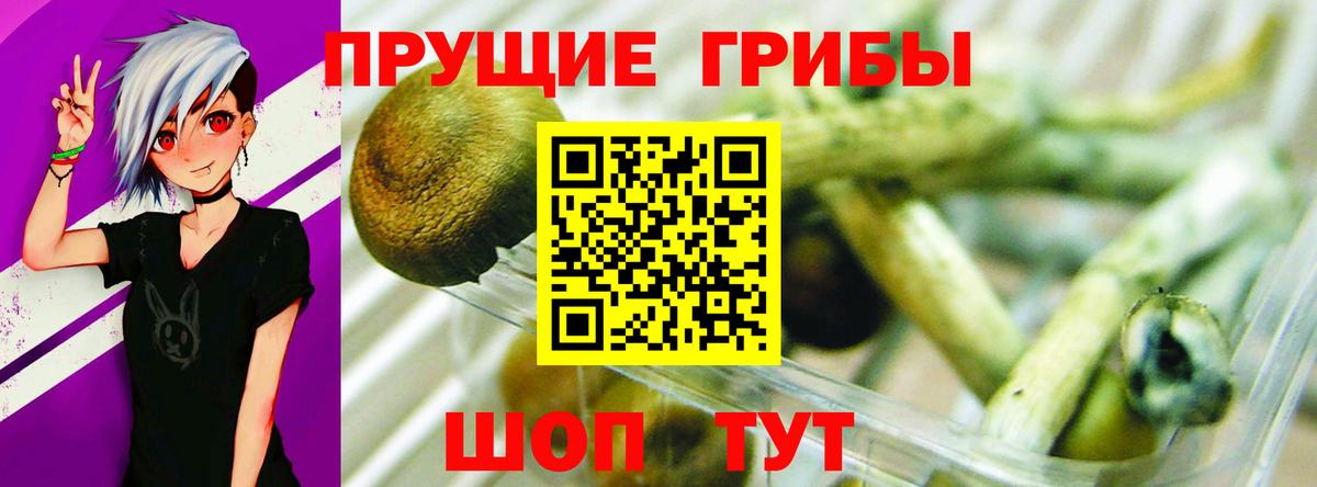Галлюциногенные грибы GOLDEN TEACHER Новый Уренгой